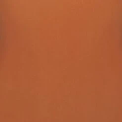 EVERYDAY SCULPT HIGH-WAISTED BRIEF | BRONZE 11 EVERYDAY SCULPT HIGH-WAISTED BRIEF | BRONZE -SWIMwear Sale Store SKIMS EVERYDAYSCULPT BRZ SW dc4a6767 2b18 48f6 9f16 39b4d135ba90