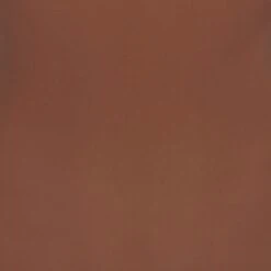 EVERYDAY SCULPT HIGH-WAISTED THONG | JASPER 11 EVERYDAY SCULPT HIGH-WAISTED THONG | JASPER -SWIMwear Sale Store SKIMS EVERYDAYSCULPT JSP SW 848b29f5 0f18 4b85 976d d0aefe1dc045