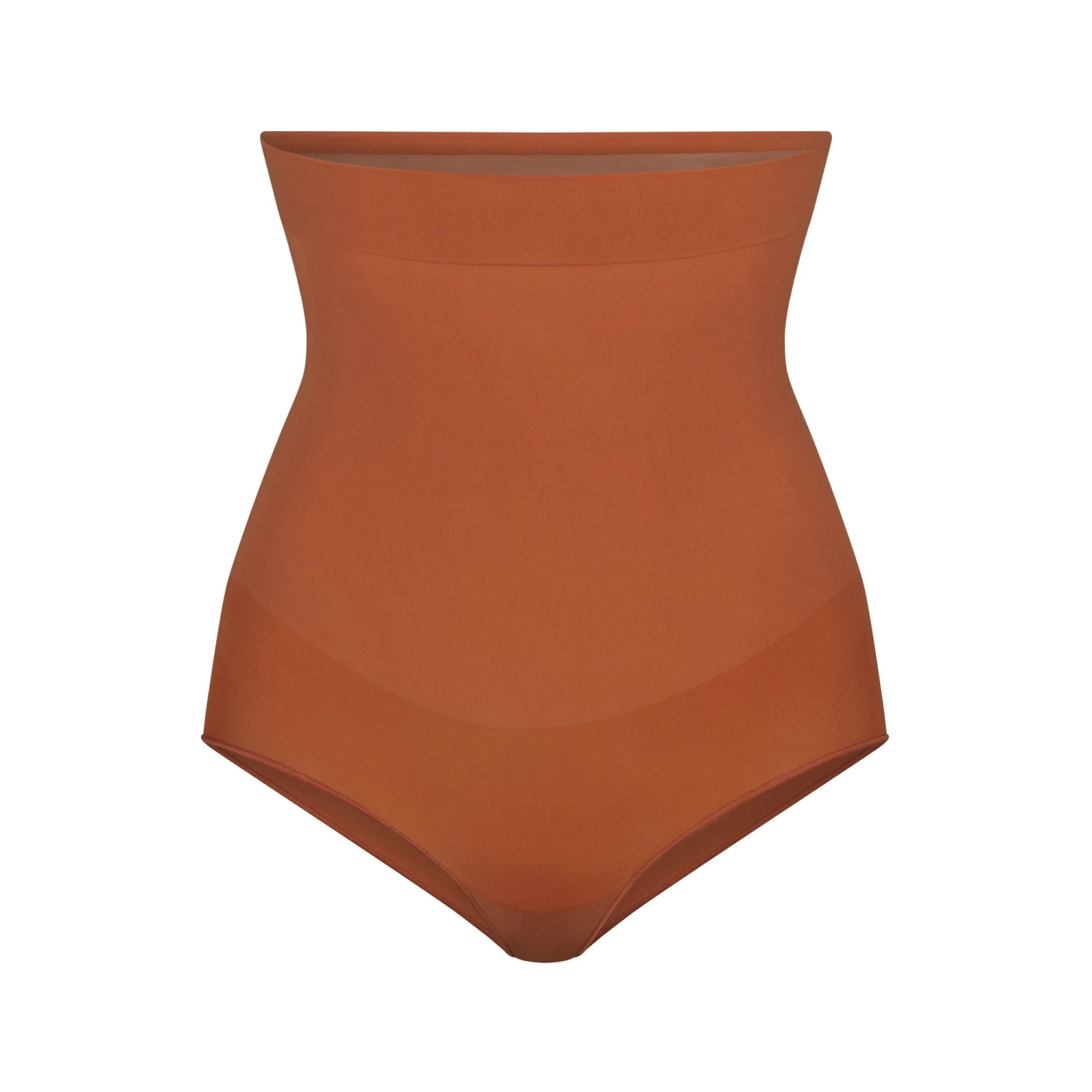 EVERYDAY SCULPT HIGH-WAISTED BRIEF | BRONZE 3 EVERYDAY SCULPT HIGH-WAISTED BRIEF | BRONZE