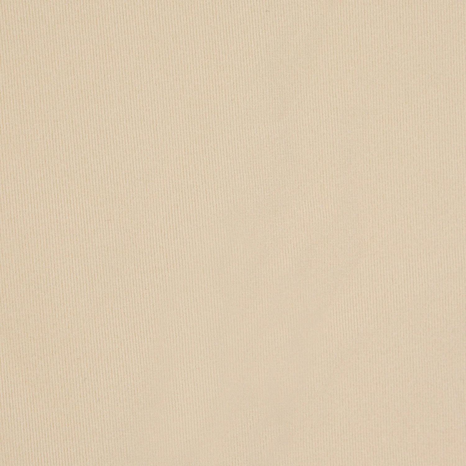 FITS EVERYBODY CORDED LACE TANGA | SAND 7 FITS EVERYBODY CORDED LACE TANGA | SAND - Image 5