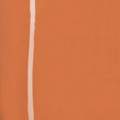 LATEX THONG | BRONZE -SWIMwear Sale Store SKIMS LATEX BRZ SW b0623929 945d 4964 ad28 c5bb3ff5dfd4