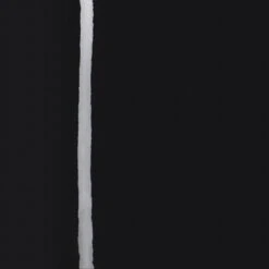 LATEX THONG | ONYX -SWIMwear Sale Store SKIMS LATEX ONX SW 0e65a9e8 4031 4b0c 84ea 62119b13a02f