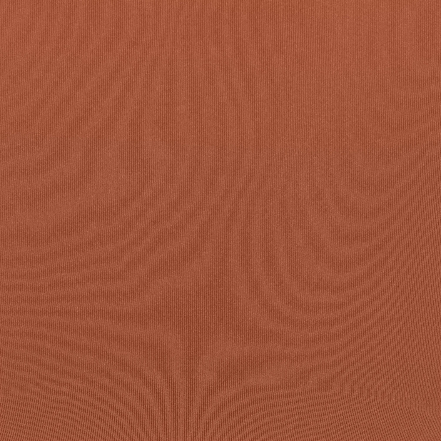 SEAMLESS SCULPT HIGH-WAISTED BRIEF | BRONZE 7 SEAMLESS SCULPT HIGH-WAISTED BRIEF | BRONZE - Image 5