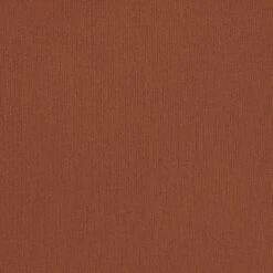 SOFT SMOOTHING THONG | BRONZE -SWIMwear Sale Store SKIMS SOFTSMOOTHINGSEAMLESS BRZ SW a71d3b67 dc90 4bd0 9ef2 78ae27f49a6e